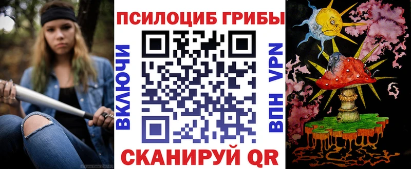 где найти   мега как войти  Псилоцибиновые грибы Psilocybe  Болохово 